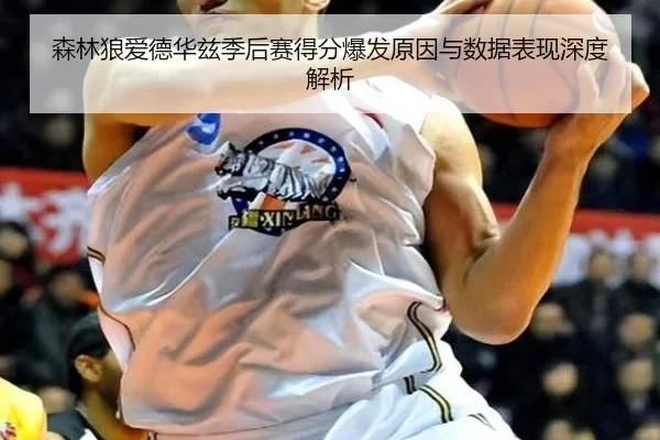 森林狼爱德华兹季后赛得分爆发原因与数据表现深度解析