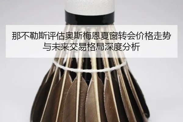 那不勒斯评估奥斯梅恩夏窗转会价格走势与未来交易格局深度分析